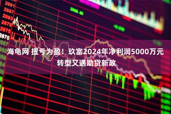 海龟网 扭亏为盈!玖富2024年净利润5000万元 转型又遇助贷新政